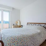 Grand Appartement 2 Chambres Avec Terrasse A Saint-Jean-De-Luz - Fr-1-4-667